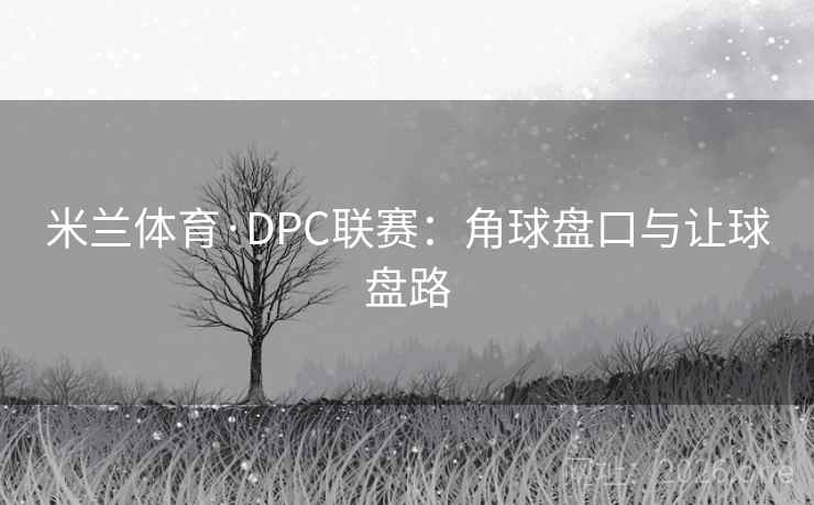 米兰体育·DPC联赛：角球盘口与让球盘路  第2张