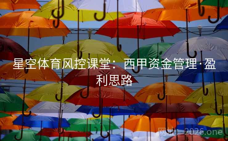 星空体育风控课堂：西甲资金管理·盈利思路  第2张