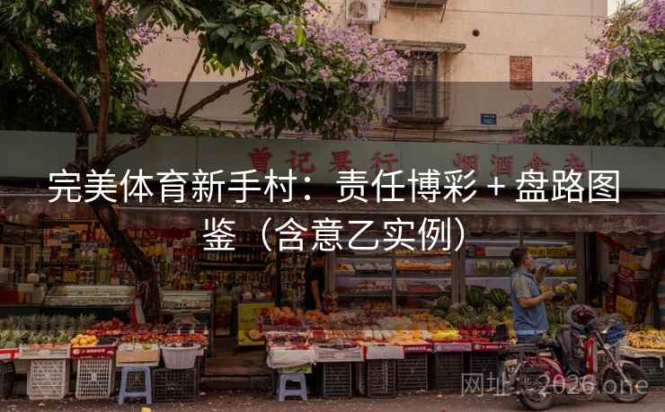 完美体育新手村：责任博彩 + 盘路图鉴（含意乙实例）
