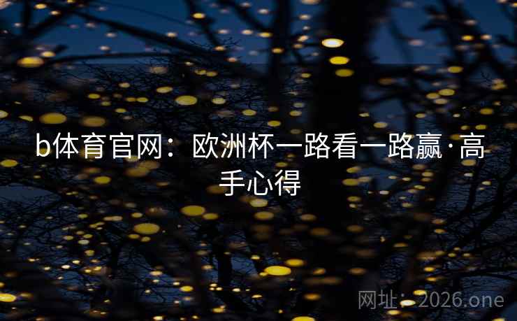 b体育官网：欧洲杯一路看一路赢·高手心得
